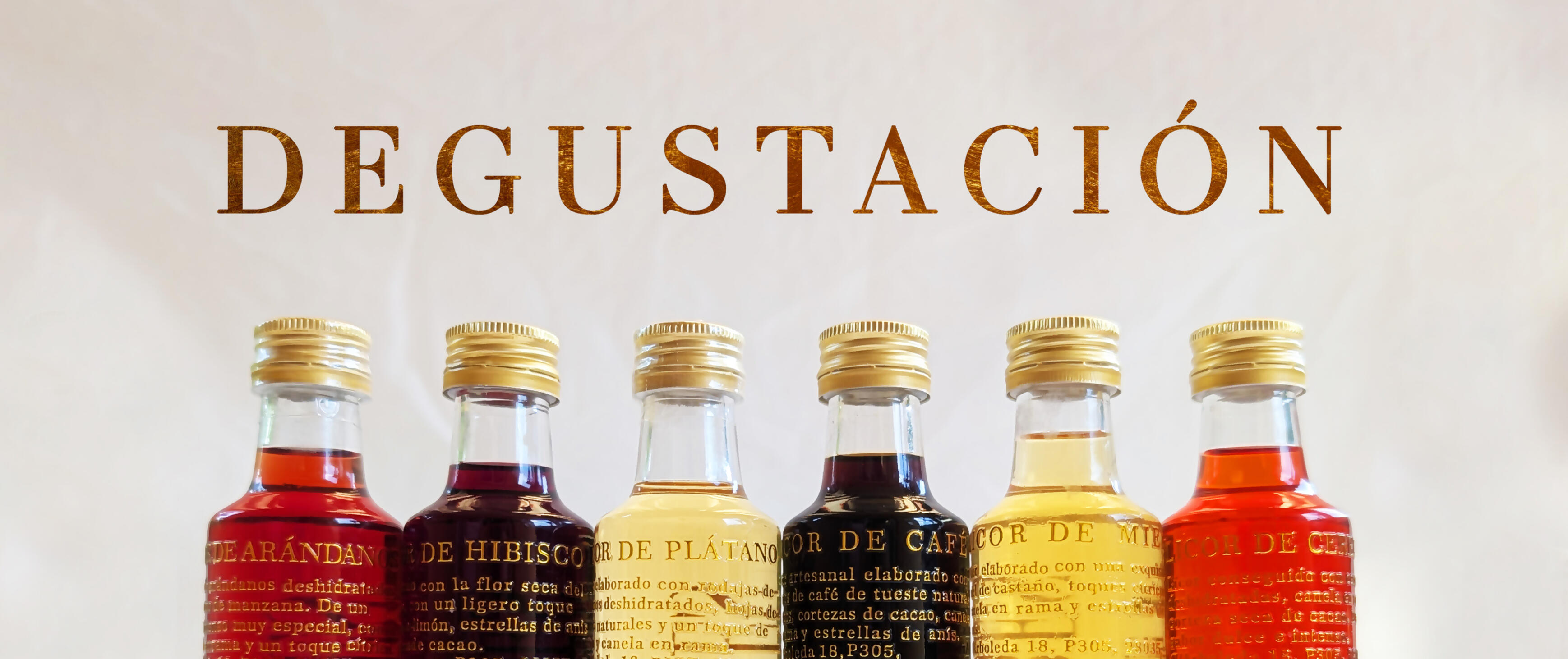 DEGUSTACIÓN DE SEIS SABORES